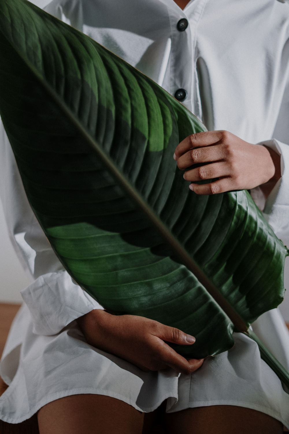 Foglia verde tra le mani, simbolo degli oli naturali che usiamo